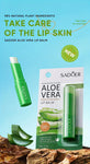 Aloe Lip Balm view 5